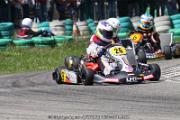 20110501_ales_agnus (3119)